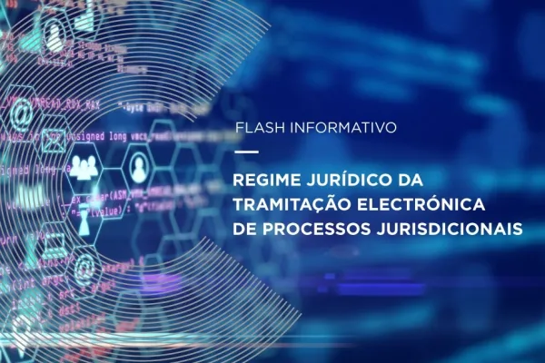 Legal regime for the electronic processing of court proceedings
